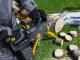 Аккумуляторная пила Stiga SC 80 AE